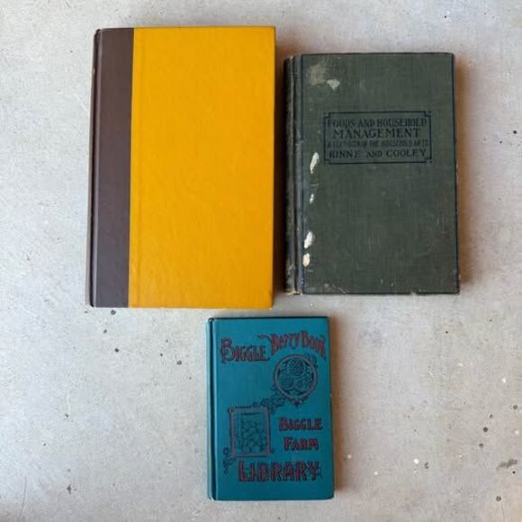 3 Antique Vintage Books Cooking Recipes Old Vintage Home Decor Rustic - Picture 5 of 9